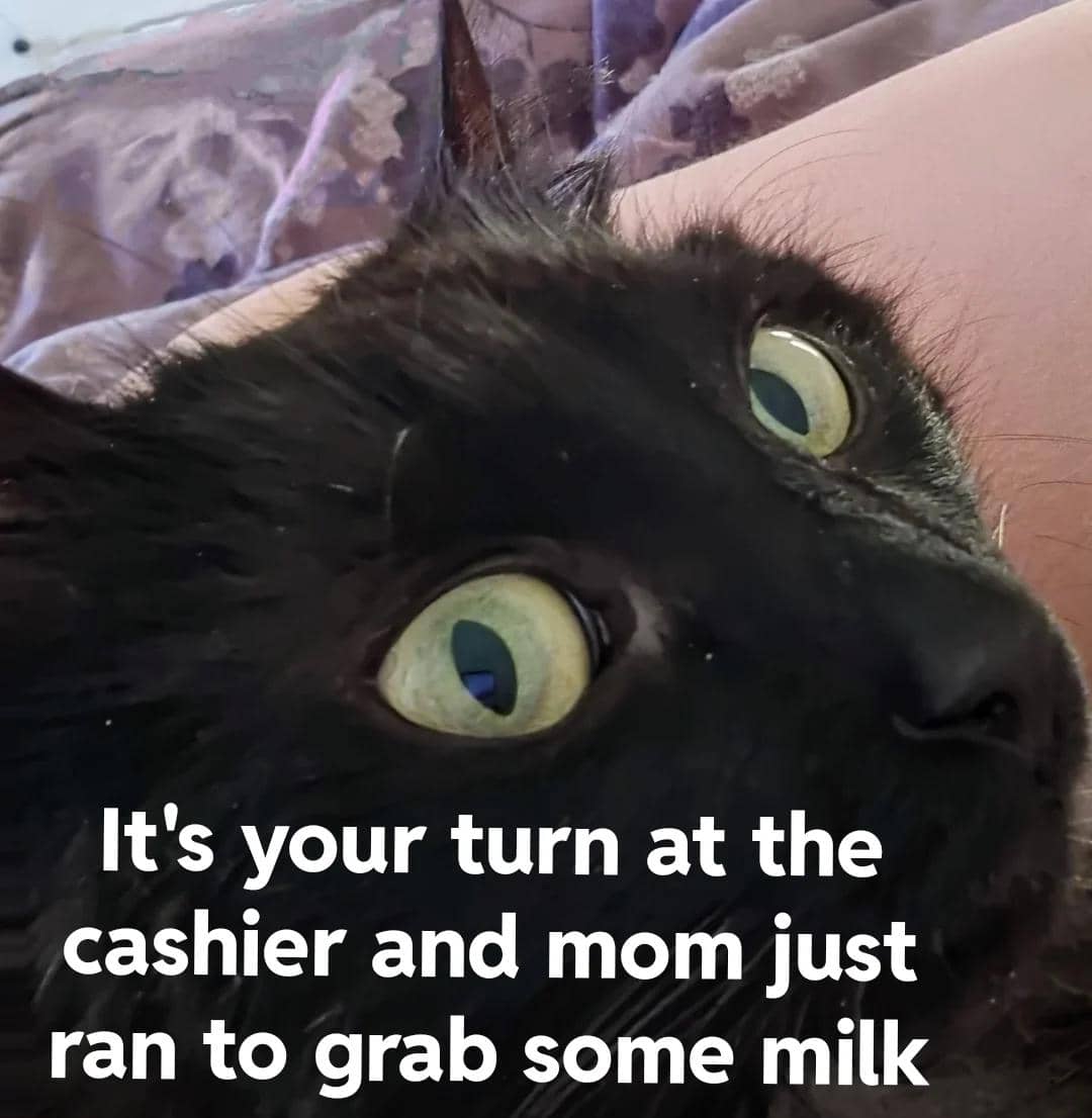 Meme kucing dengan ekspresi terkejut dalam suasana mencekam yang menggambarkan momen horor mendadak.