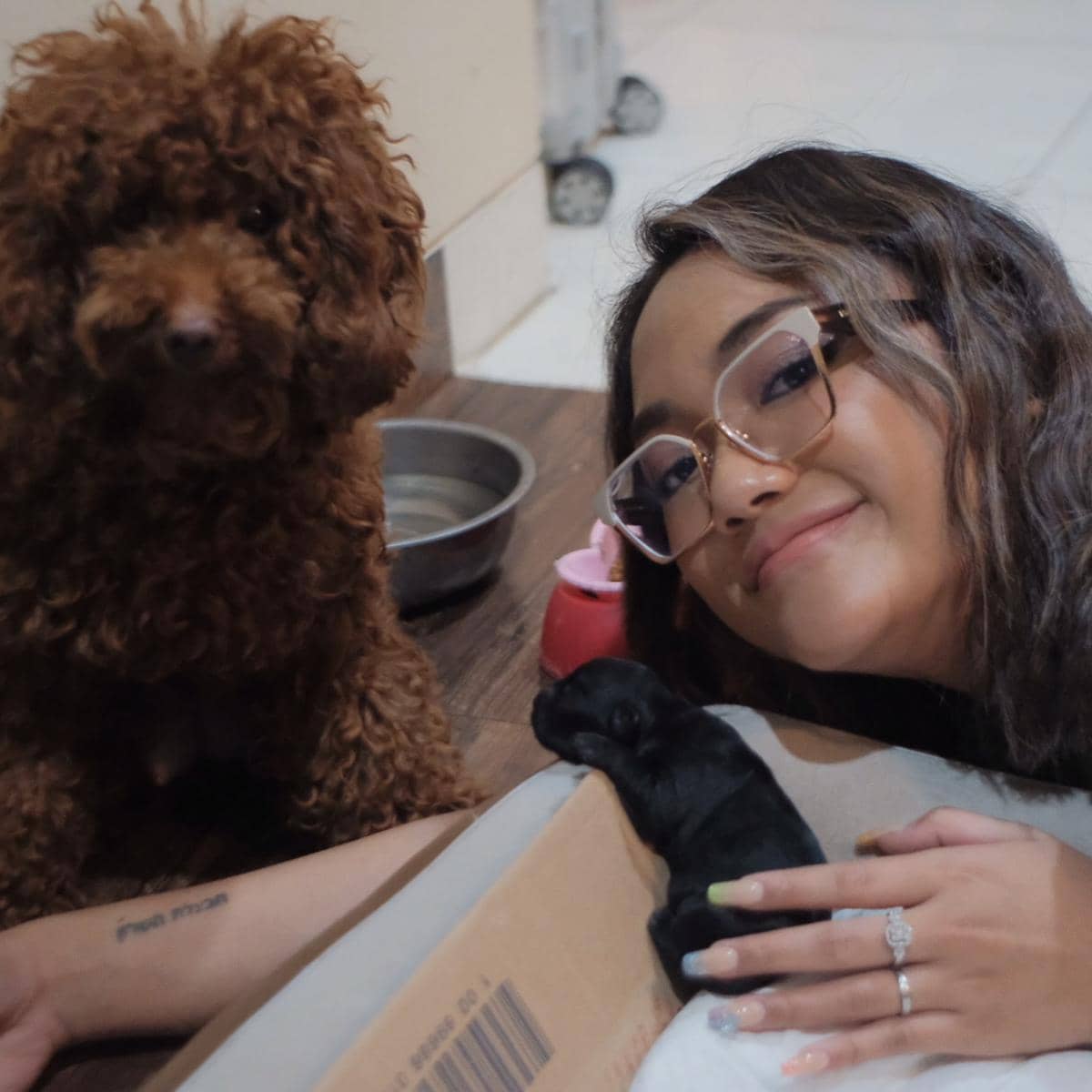 Potret kenangan Marion Jola bersama Adelana, anjing peliharaannya yang telah mati, dari unggahan Instagram.