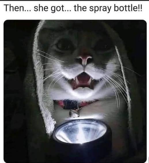 Meme kucing dengan ekspresi terkejut dalam suasana gelap, menggambarkan momen horor yang menegangkan.