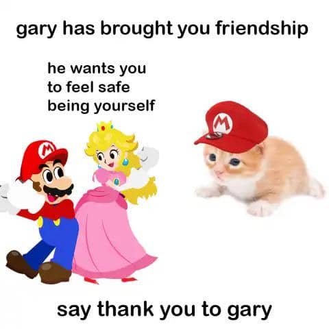 meme kucing tentang persahabatan