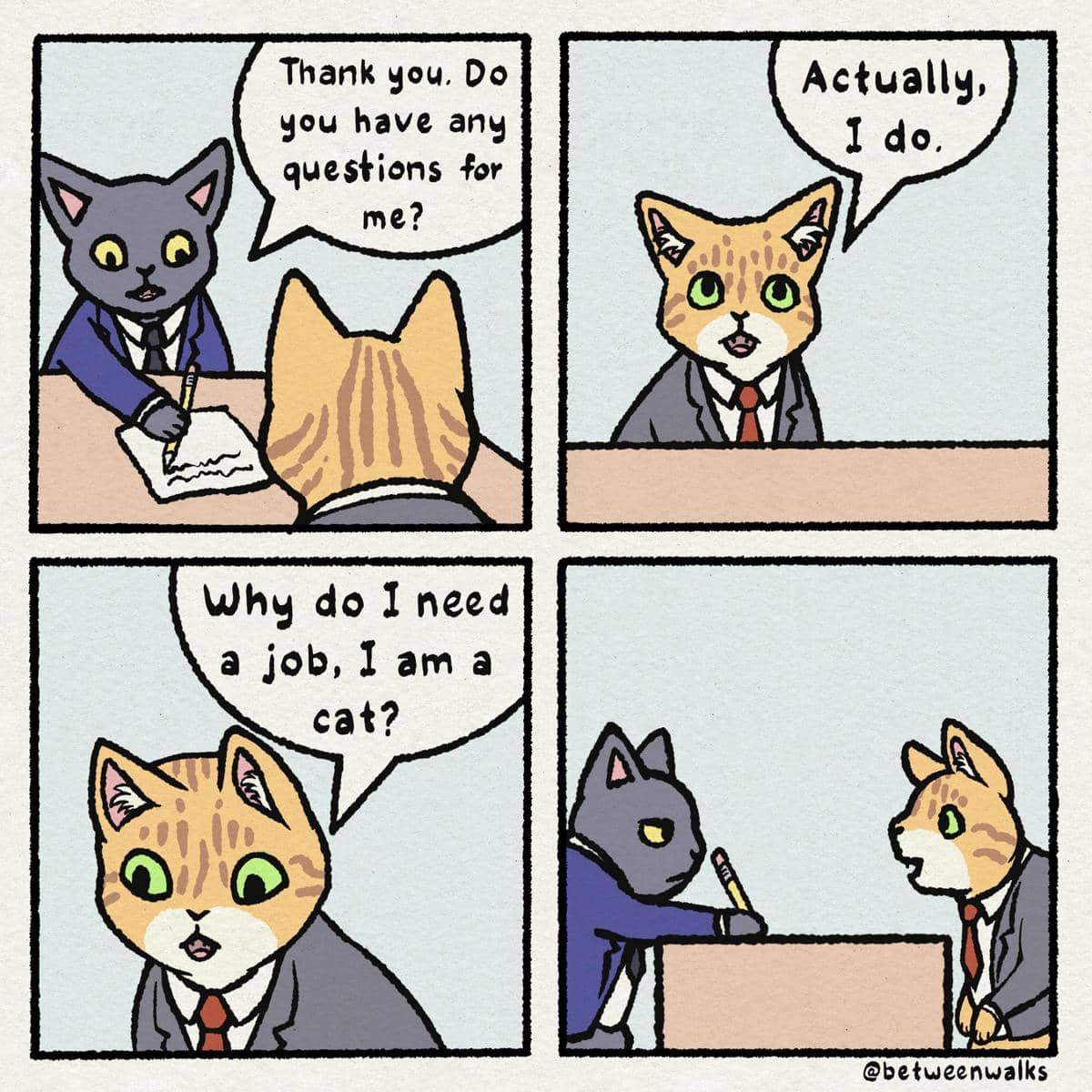 meme kucing tentang wawancara kerja