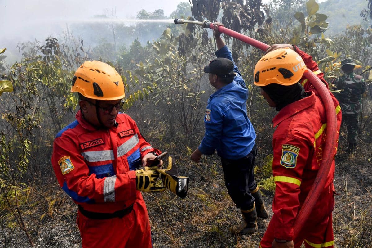 Karhutla 20,5 Hektare di Betapus Samarinda Berhasil Dipadamkan