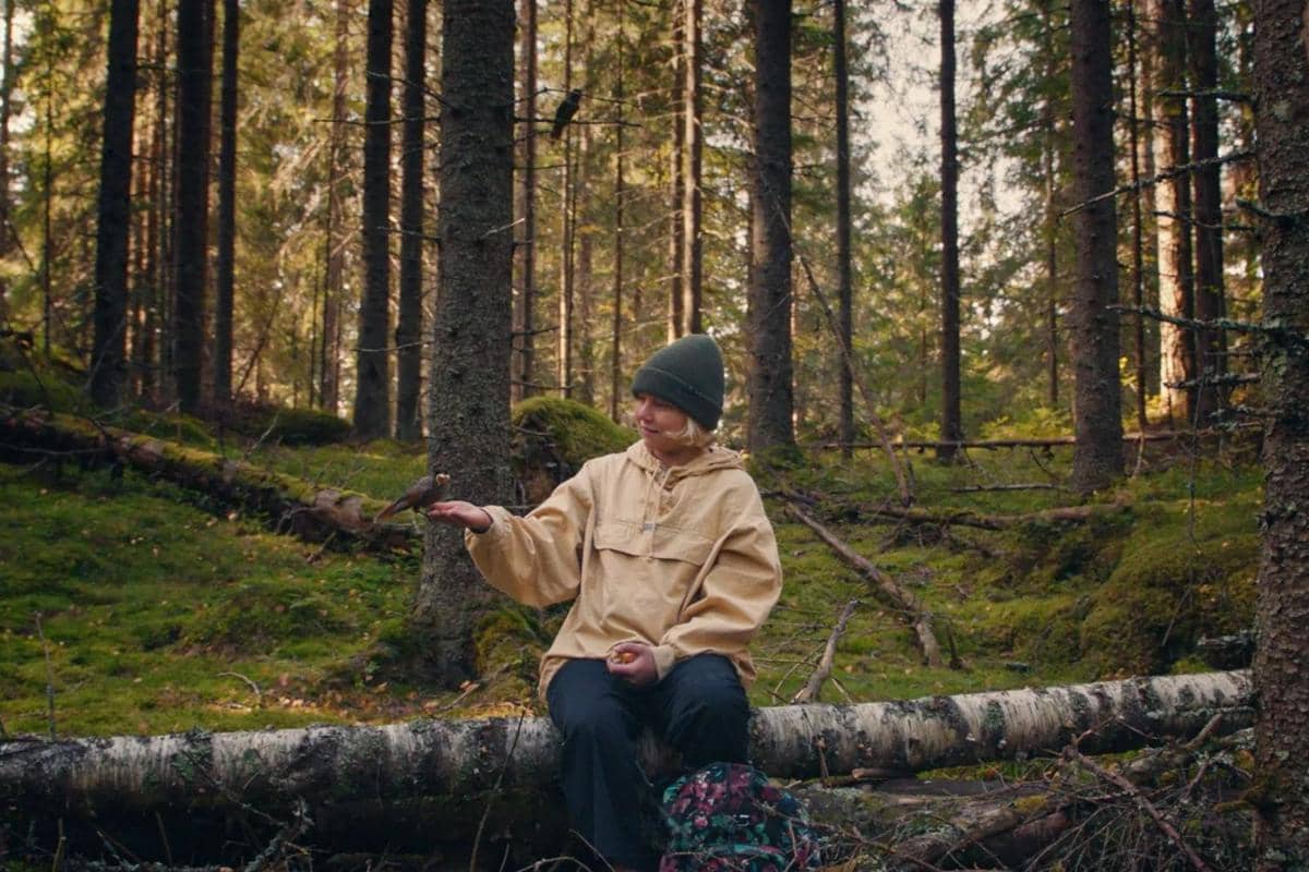 Once Upon a Time in a Forest