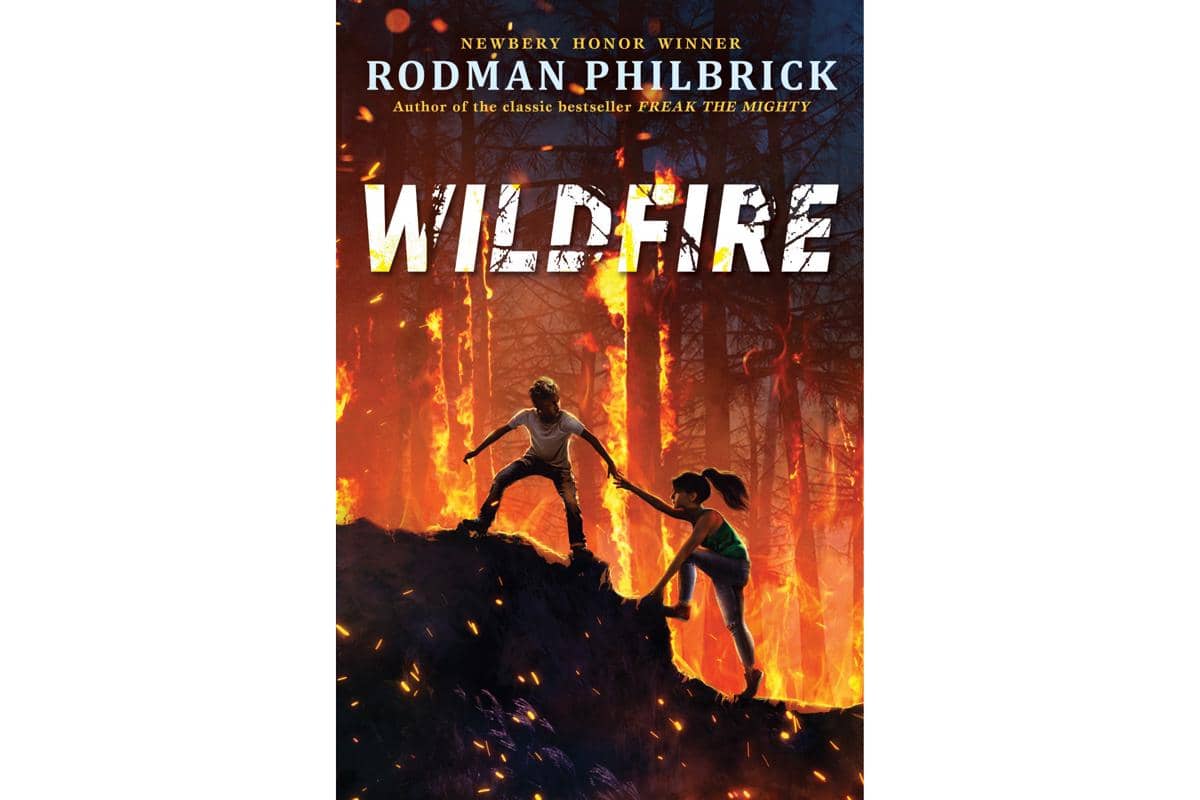 kover novel Wildfire