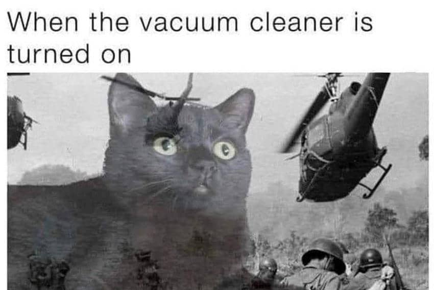 8 Meme Kucing tentang Momen Horor, Takut Dengar Suara Vacuum