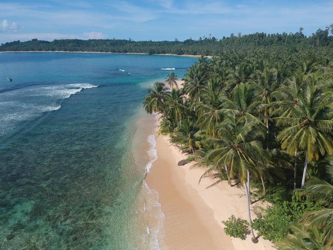 ilustrasi pantai pasir putih dan air laut jernih