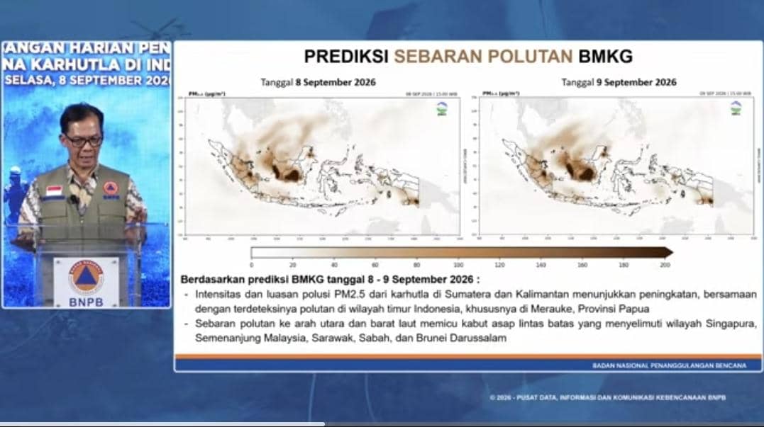 Karhutla Masih Luas di Kalimantan, BNPB: Kualitas Udara Sudah Bahaya