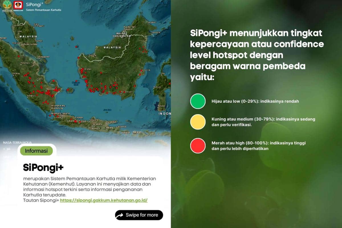 ilustrasi tampilan dan keterangan SiPongi+ Kementerian Kehutanan