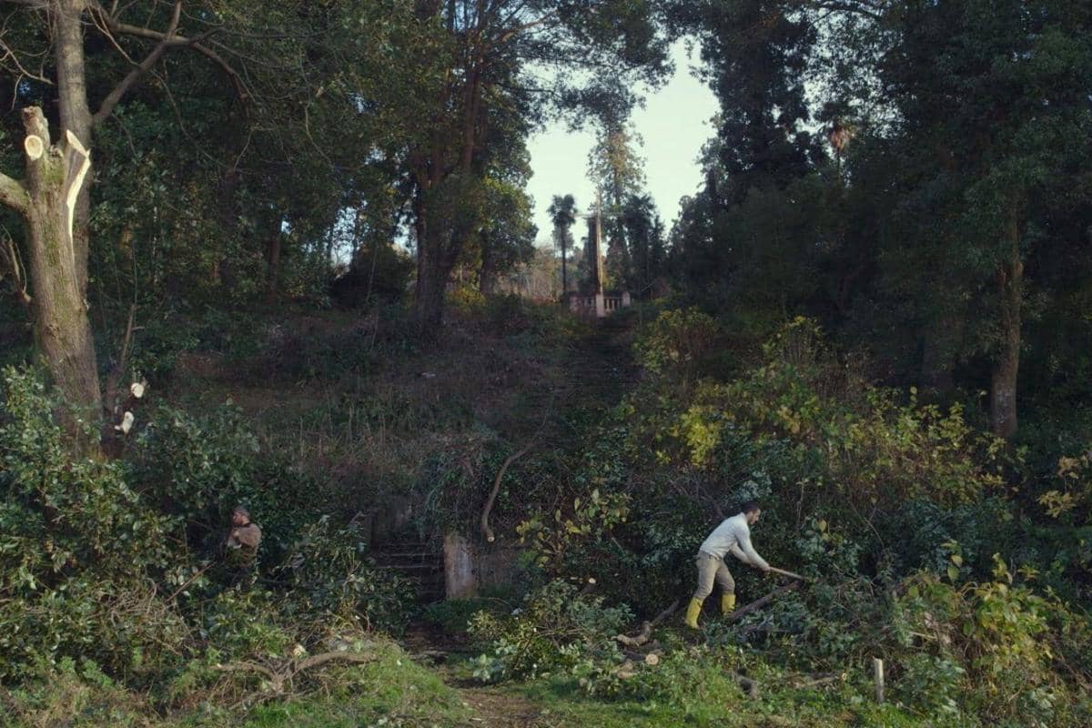 Taming the Garden