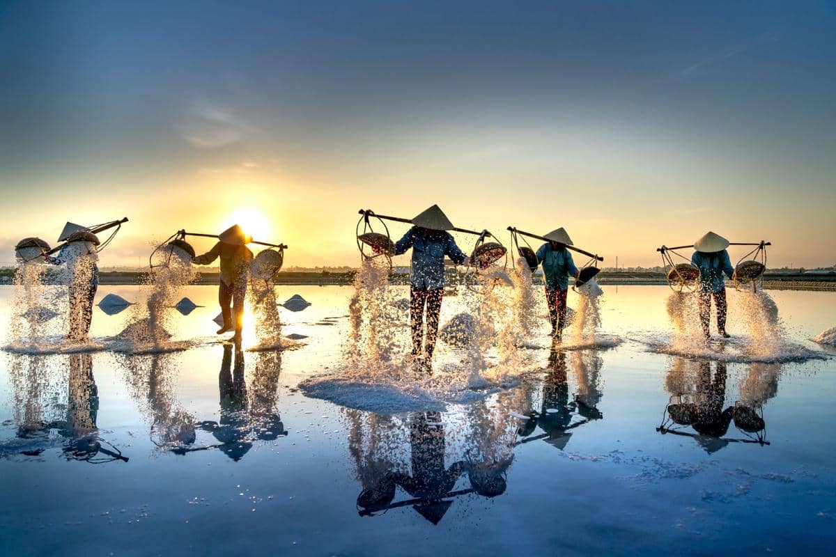 ilustrasi Hon Khoi Salt Fields
