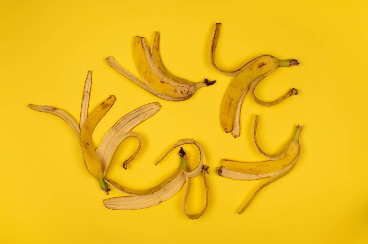ilustrasi kulit pisang
