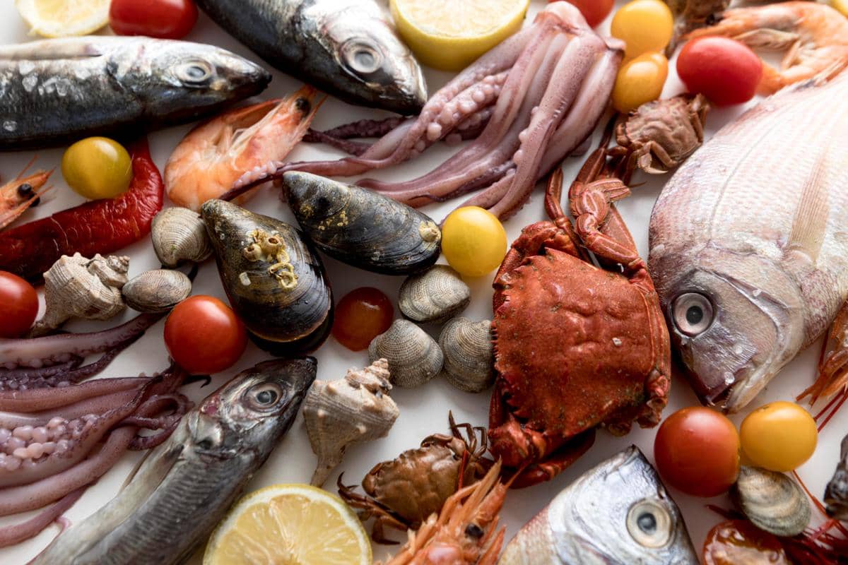 ilustrasi seafood 