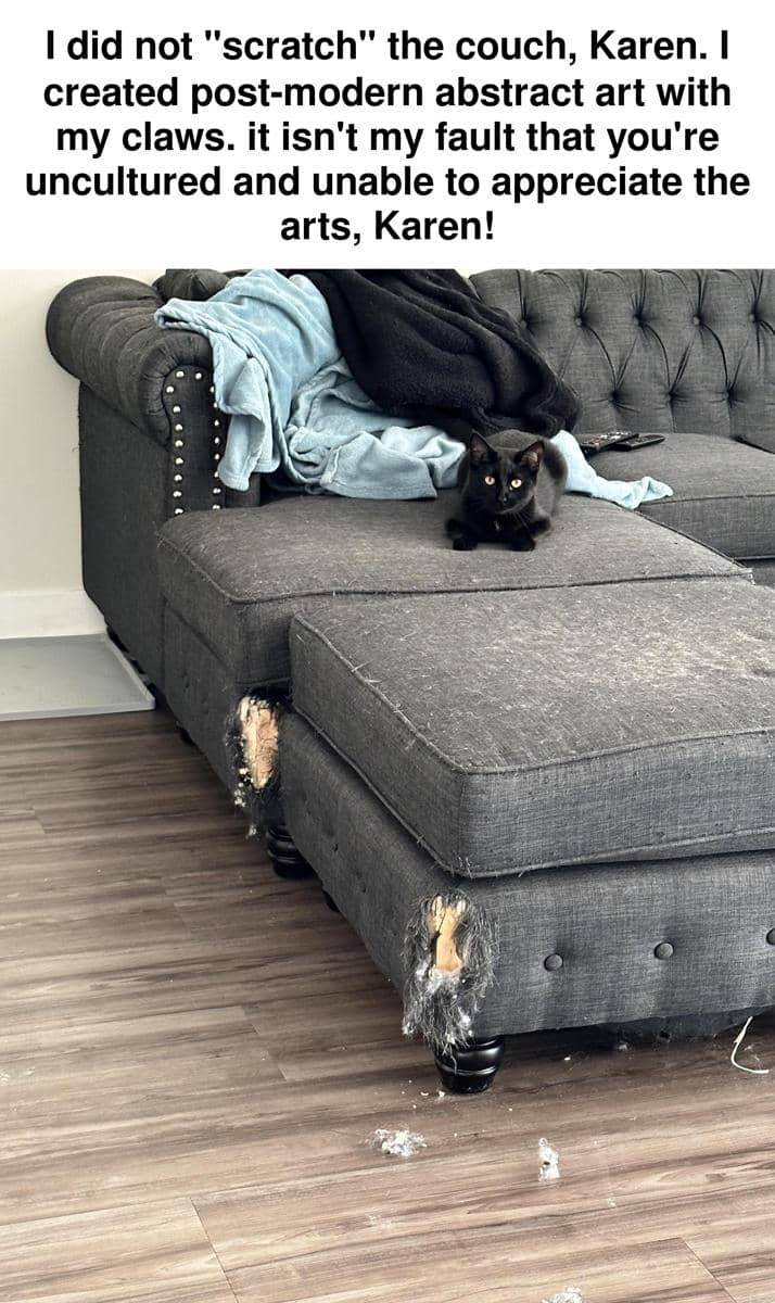 Meme kucing bertema seni yang menyampaikan humor tentang apresiasi dan proses kreatif dalam dunia seni visual.