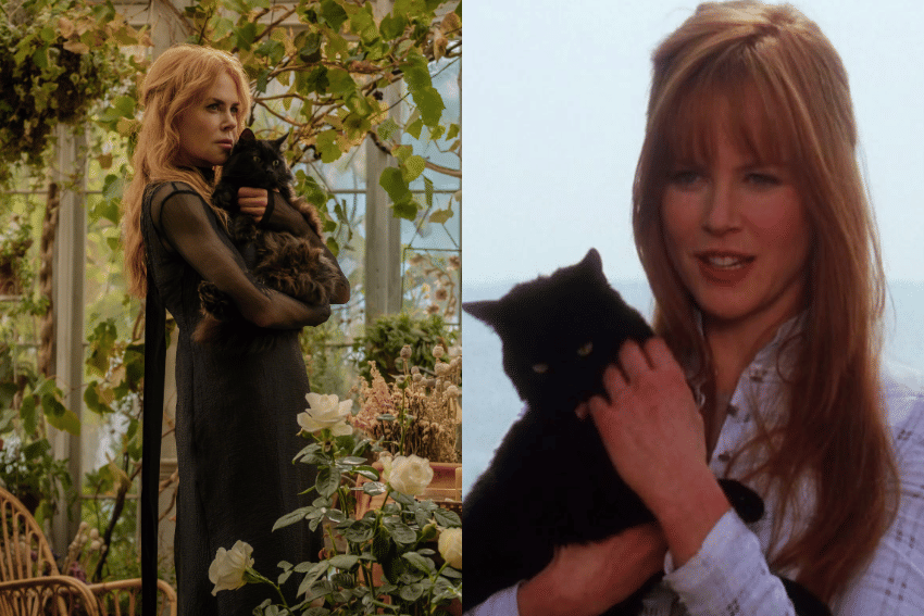 cuplikan film Practical Magic 2
