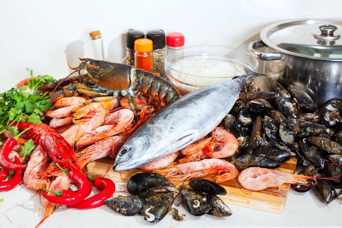 ilustrasi seafood 