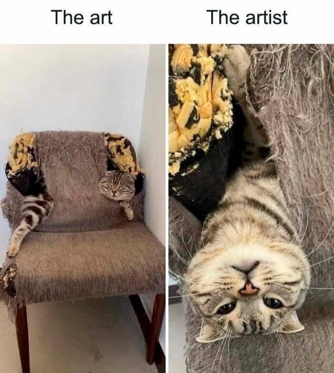 Meme kucing bertema seni dari akun Reddit catcurio, dengan ilustrasi kucing dan teks humor terkait karya seni.
