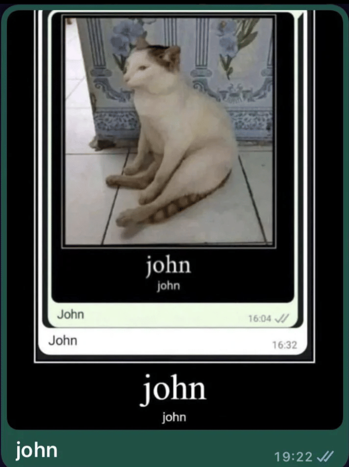 Meme kucing dengan teks tentang kartu, dikreditkan kepada pengguna Reddit Casul-Loner2 dalam unggahan daring.