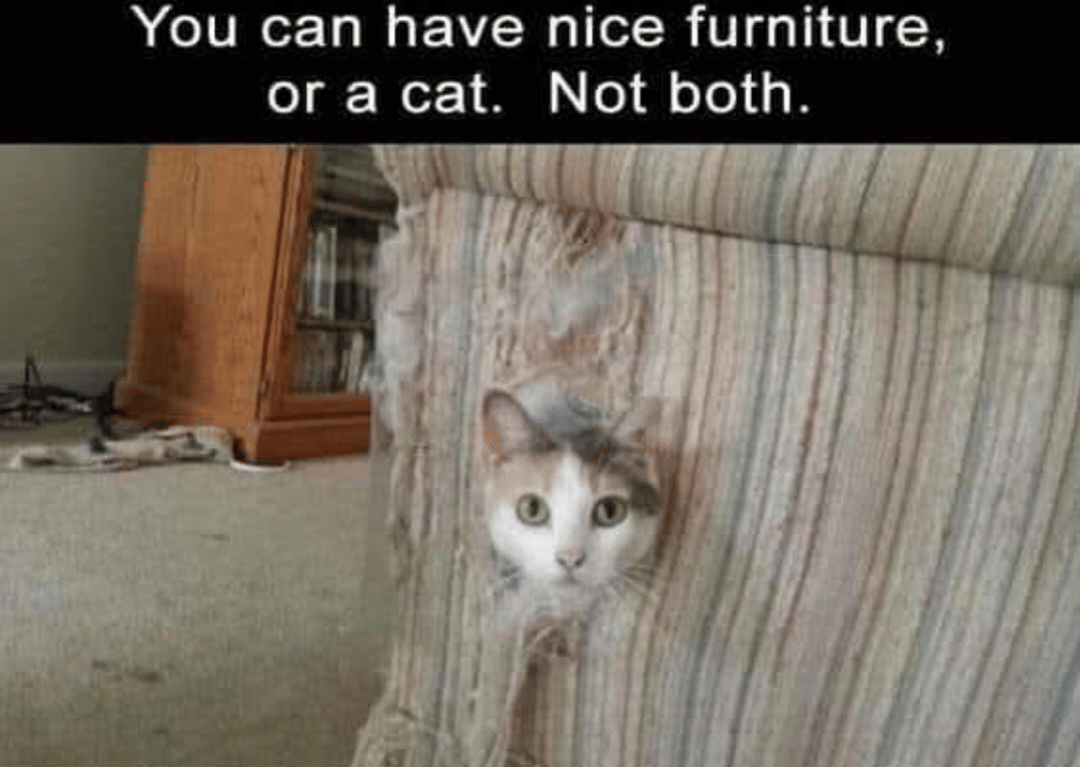 Meme kucing bertema seni yang diunggah pengguna Reddit Wrong-Training176, dengan konteks humor seputar karya artistik.