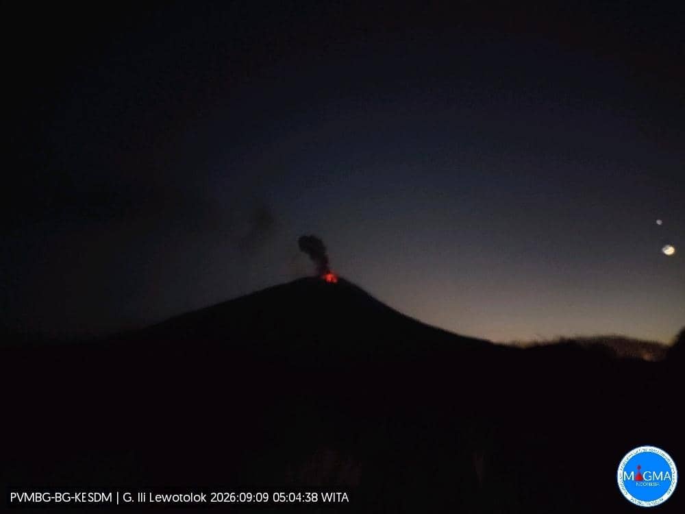 Kolom abu vulkanik membumbung dari Gunung Lewotolok saat erupsi pada 9 September 2026 pukul 05.04 WITA.