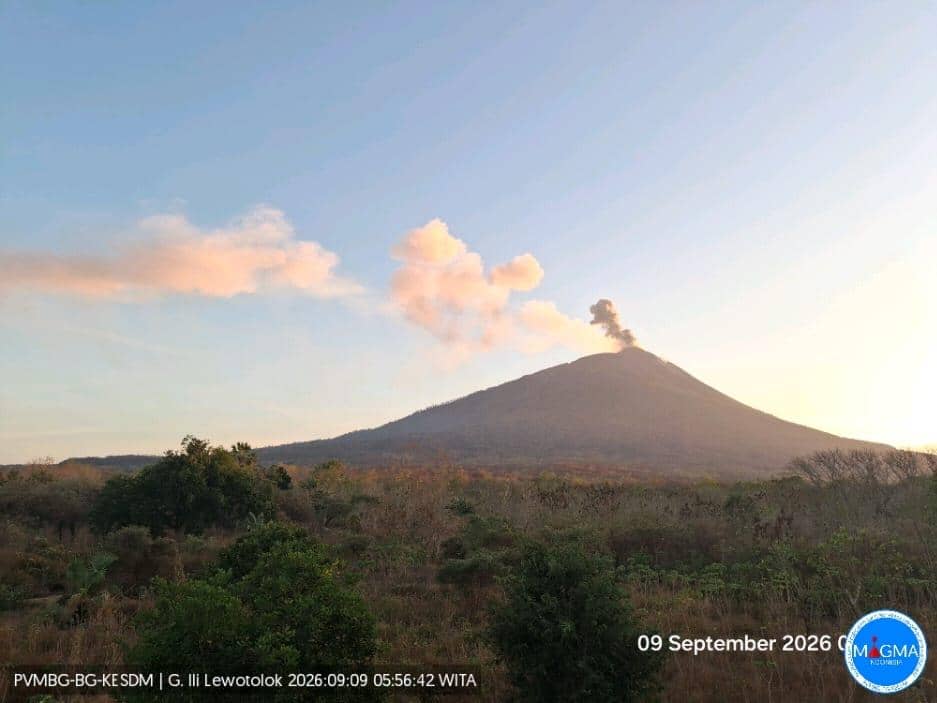 Kolom abu erupsi Gunung Lewotolok membumbung dari kawah ke langit pada 9 September 2026 pukul 05.56 WITA.