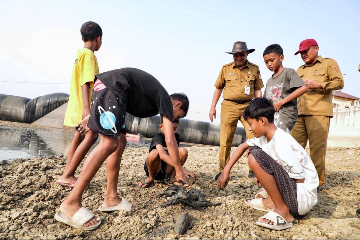 Waduh! Bangkai Sapu-sapu Cemari Bendung Karet Juana Pati yang Mengering