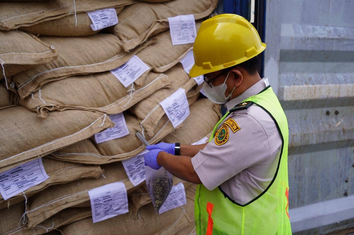 Produk kopi asal Sumatera Selatan yang didokumentasikan oleh Karantina Sumsel untuk informasi komoditas daerah.