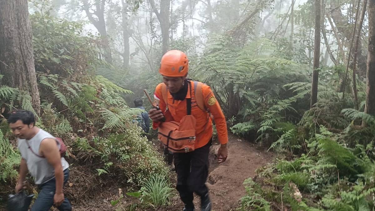 Dua Pendaki Tersesat di Gunung Agung, Tim SAR Sisir Hutan 2800 Mdpl