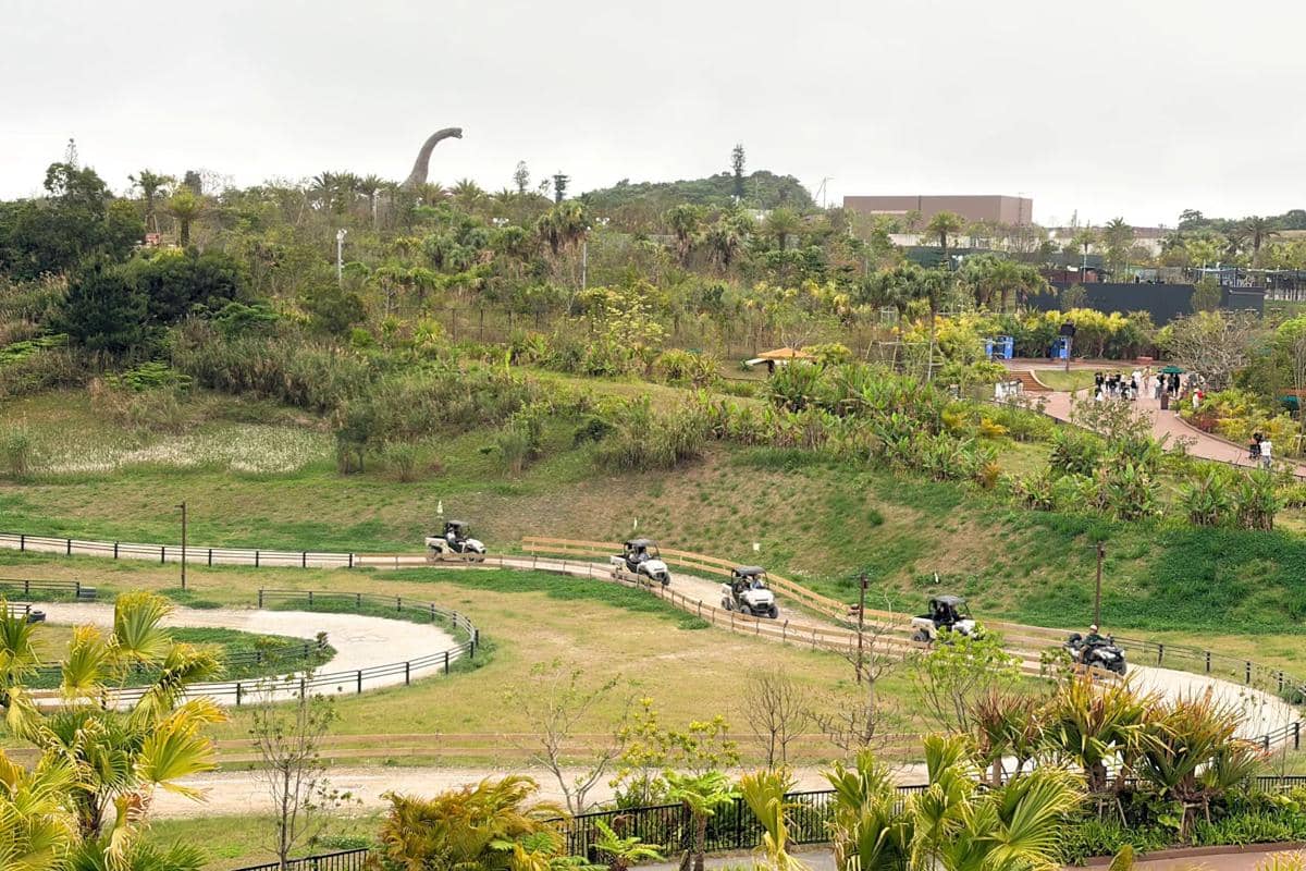Junglia Okinawa, Jepang