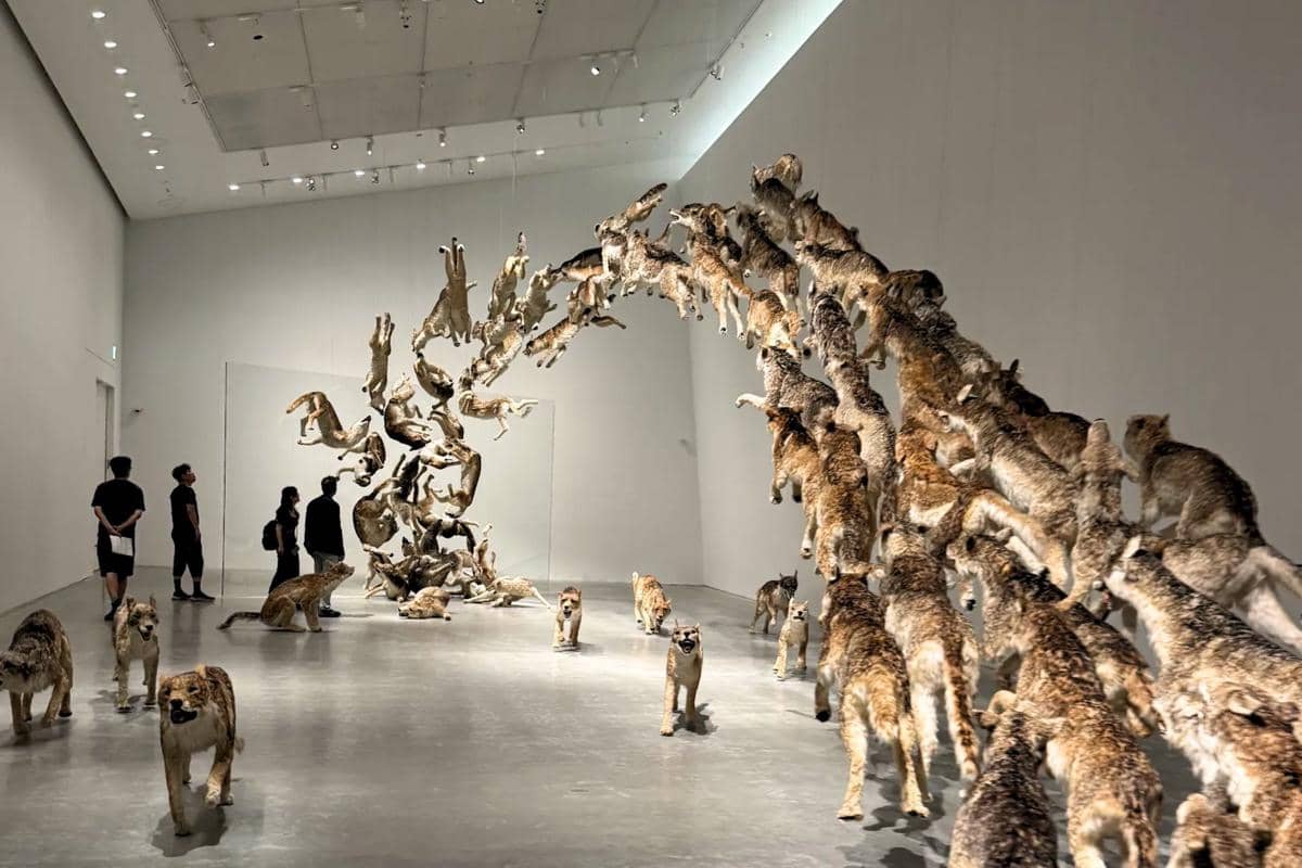 Naoshima New Museum of Art, Jepang 