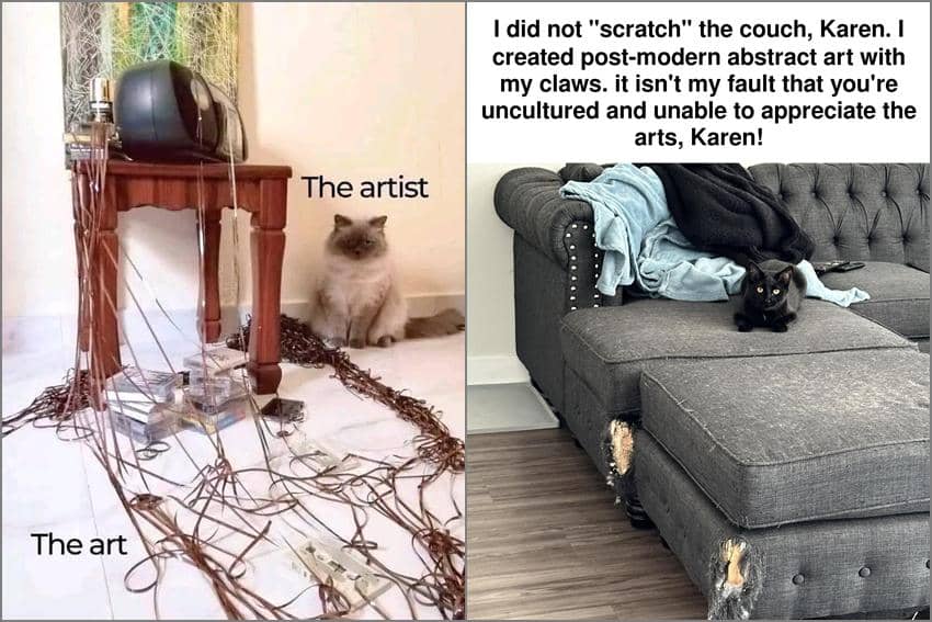 8 Meme Kucing tentang Seni, Banyak Karya Buatan Tangan di Rumah