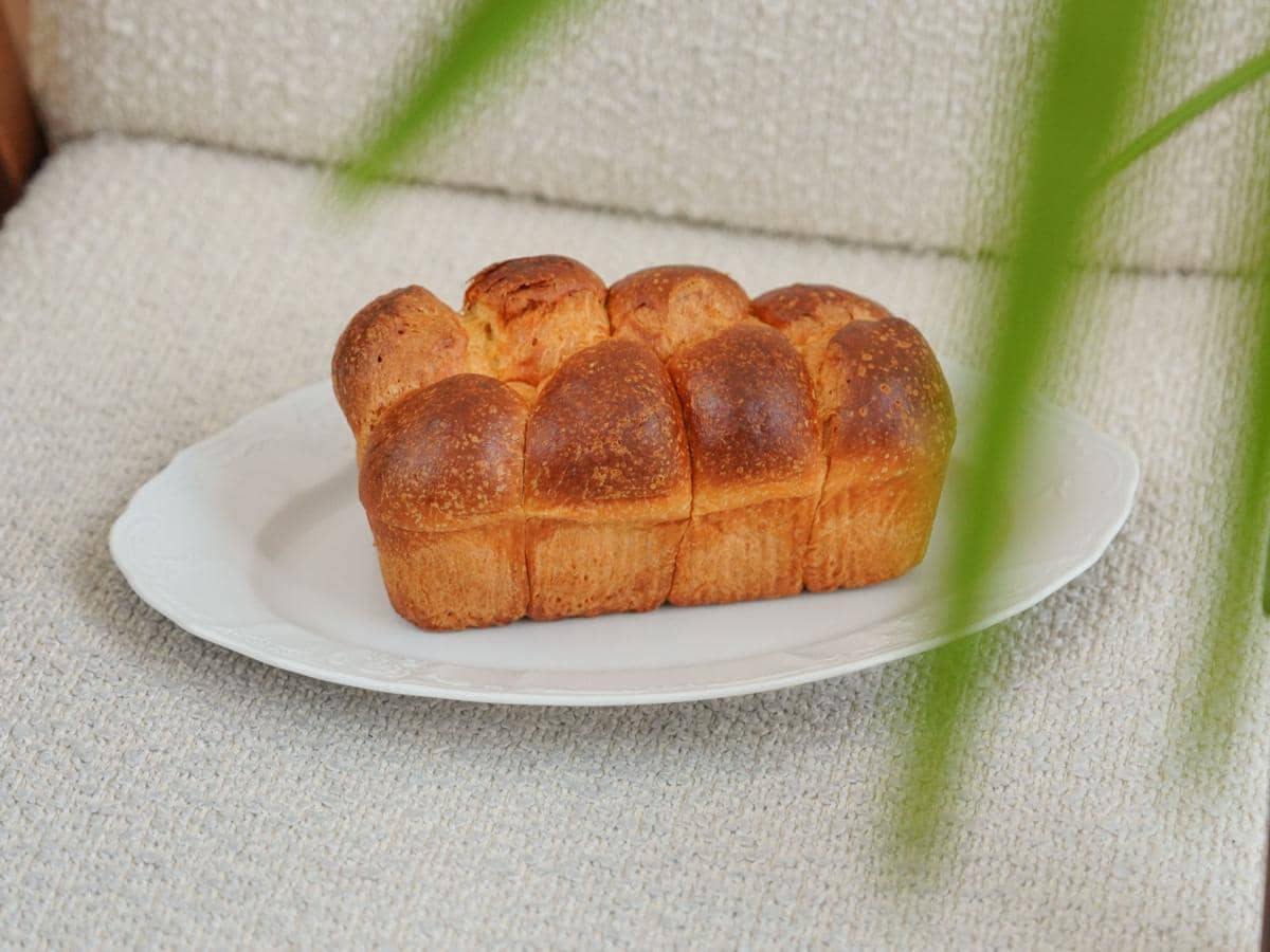 siapa pemilik holland bakery
