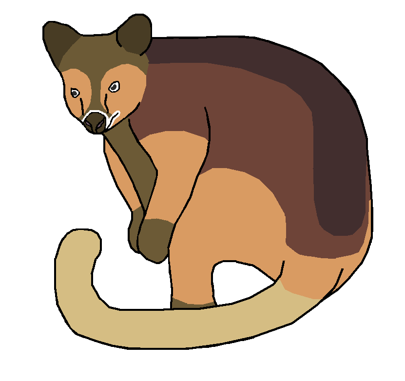 ilustrasi kanguru pohon wondiwoi