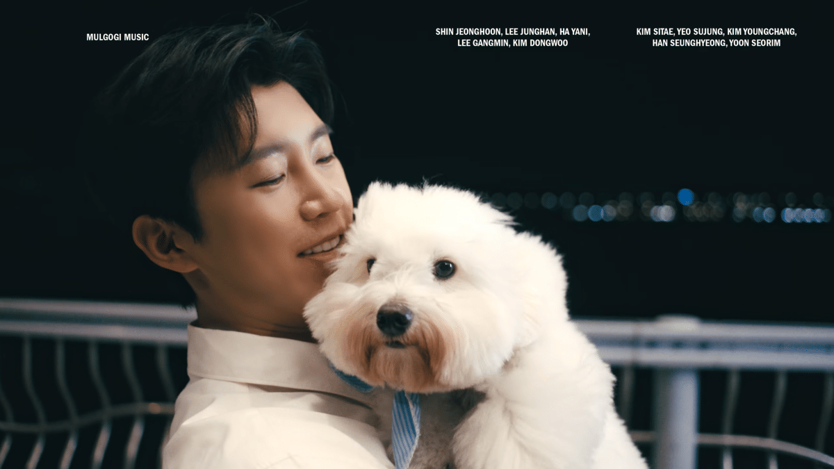Cuplikan video musik To To dari Lim Young Woong.