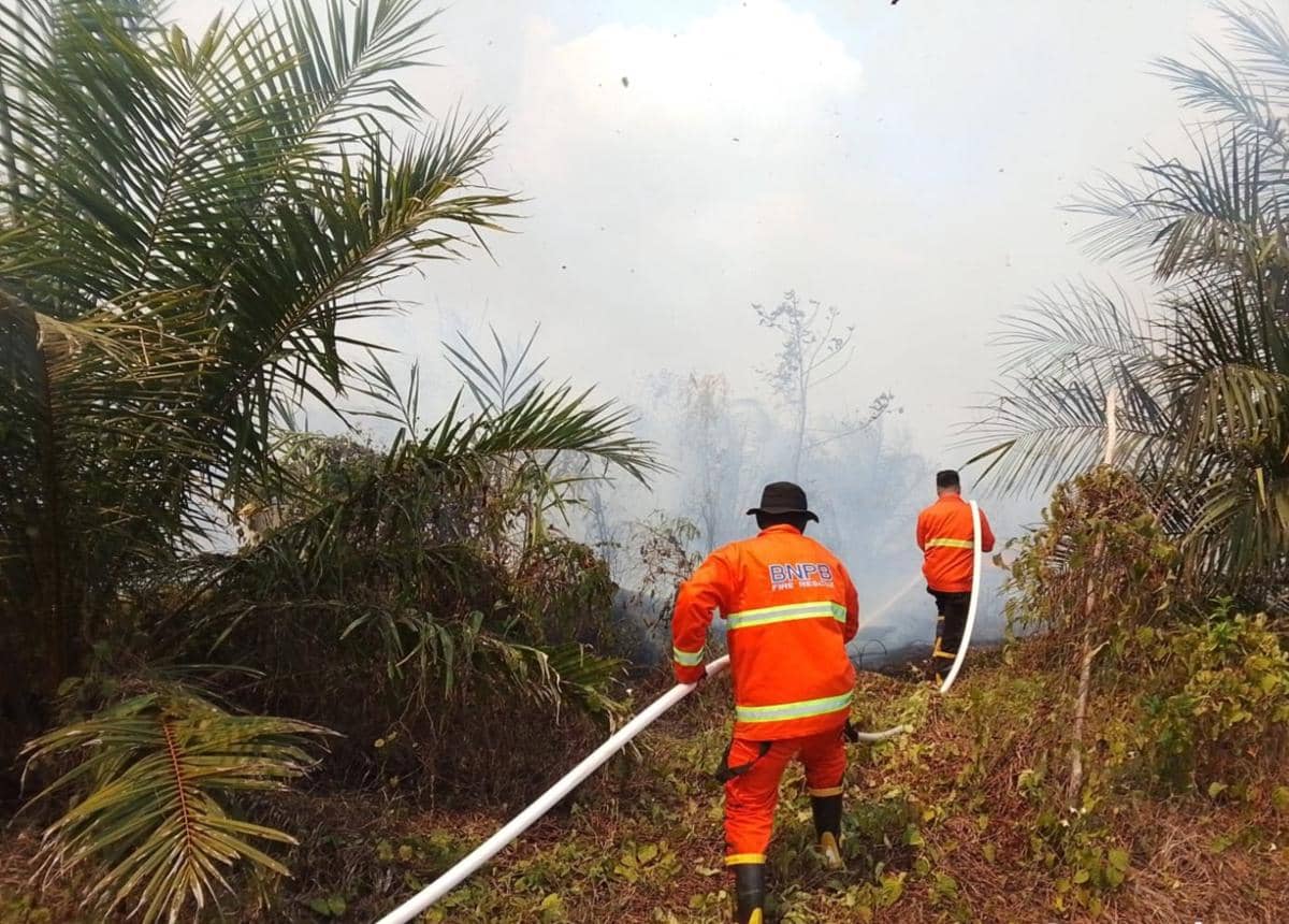 Tim BPBD Muba saat melakukan pemadaman lahan yang terbakar.
