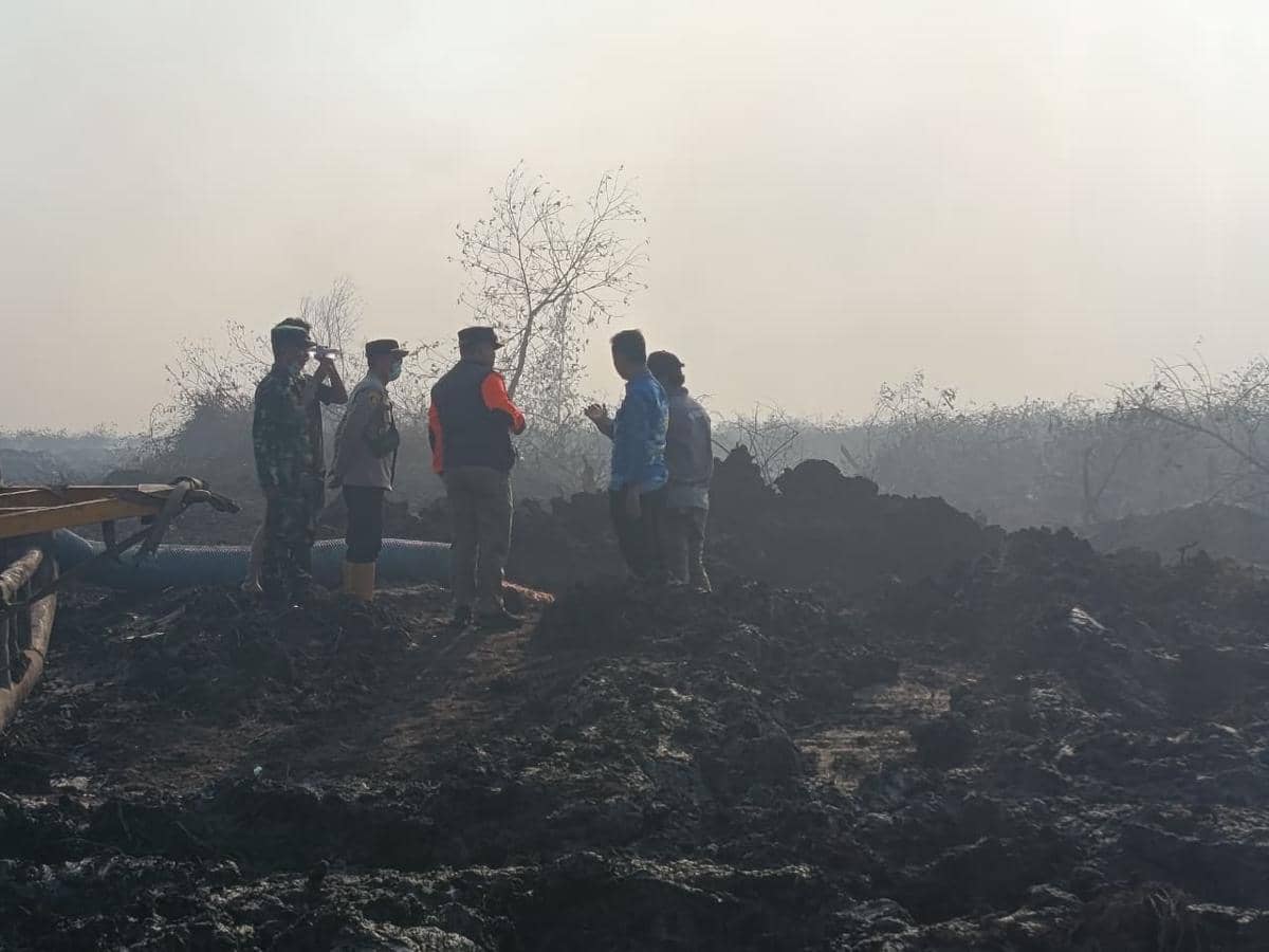Cegah Karhutla, BNPB Pertimbangkan Adopsi Teknologi Pembasahan Gambut