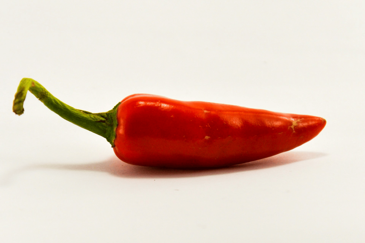 Sekumpulan cabai jalapeno merah segar berkulit mengilap sebagai ilustrasi bahan makanan pedas di latar terang.