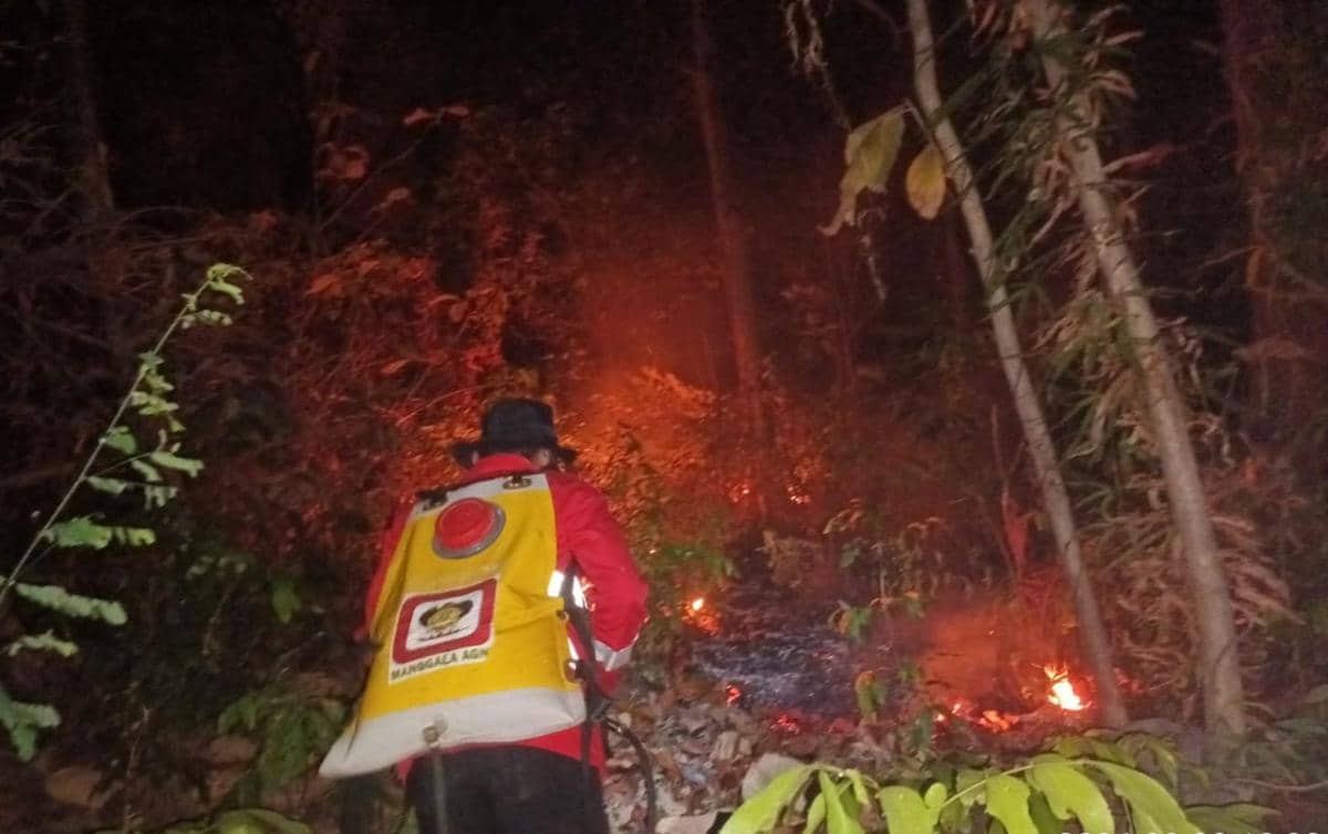 Karhutla di Suaka Margasatwa Ko'mara Hanguskan 4,57 Hektare