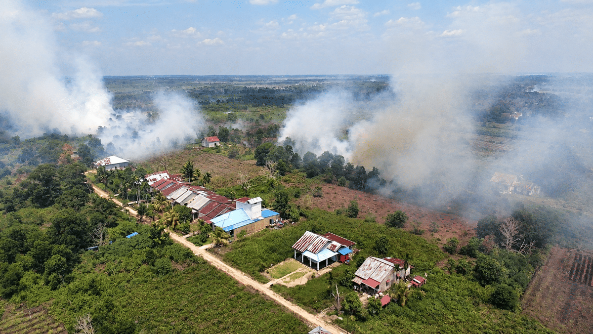 200 Hektare Hutan Bondowoso Terbakar, Titik Api Masih Terdeteksi