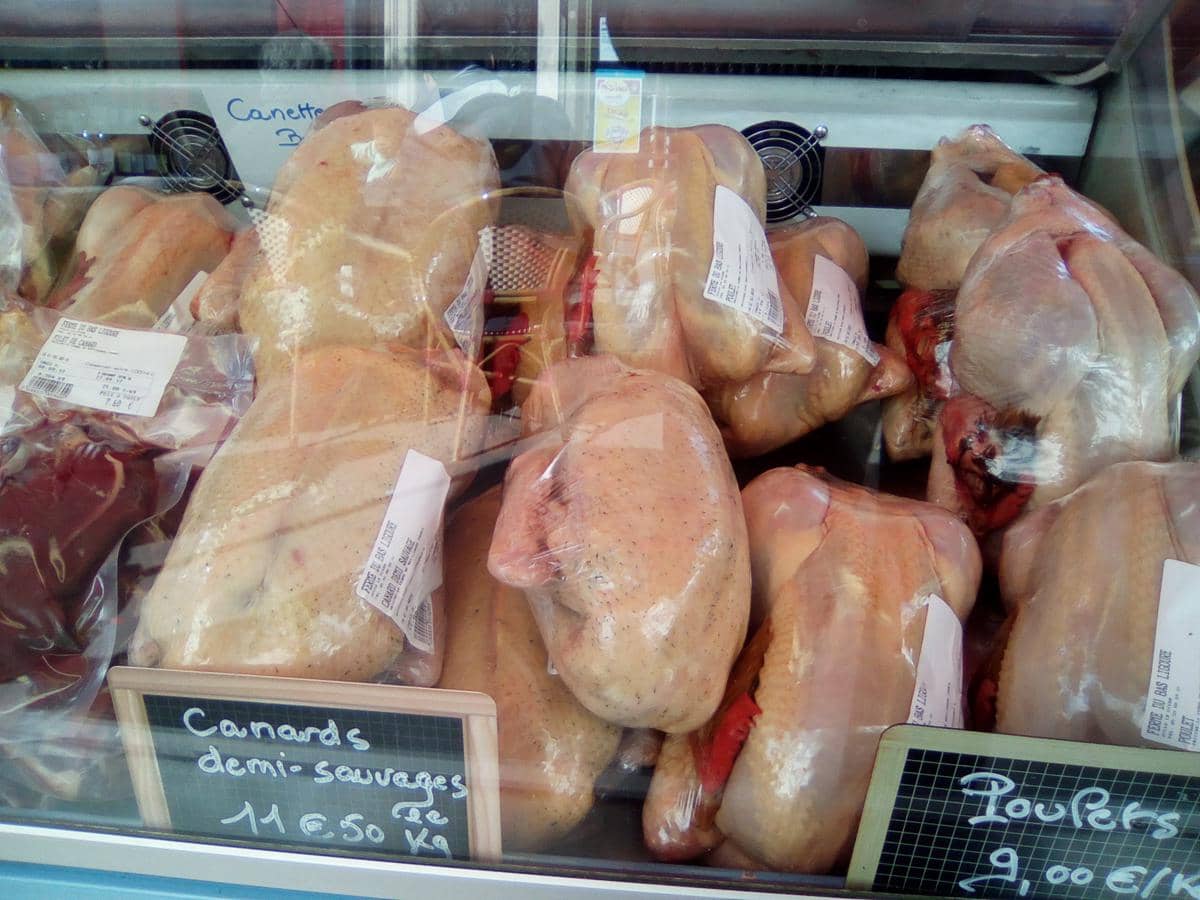 ilustrasi daging bebek mentah