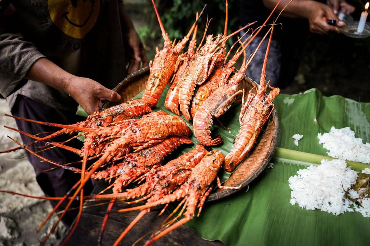 ilustrasi lobster