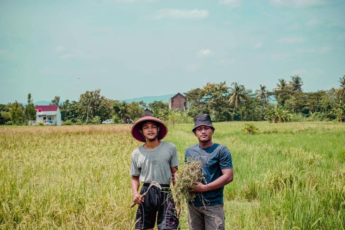 5 Istilah Unik Ini Biasa Ditemui di Pedesaan Jawa, Ada Jimpitan!