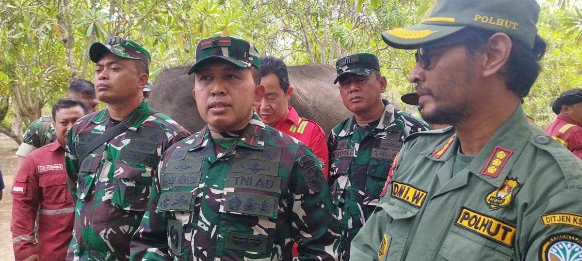 Karhutla di SM Padang Sugihan Berhasil Padam, Habitat Gajah Dijaga Ketat