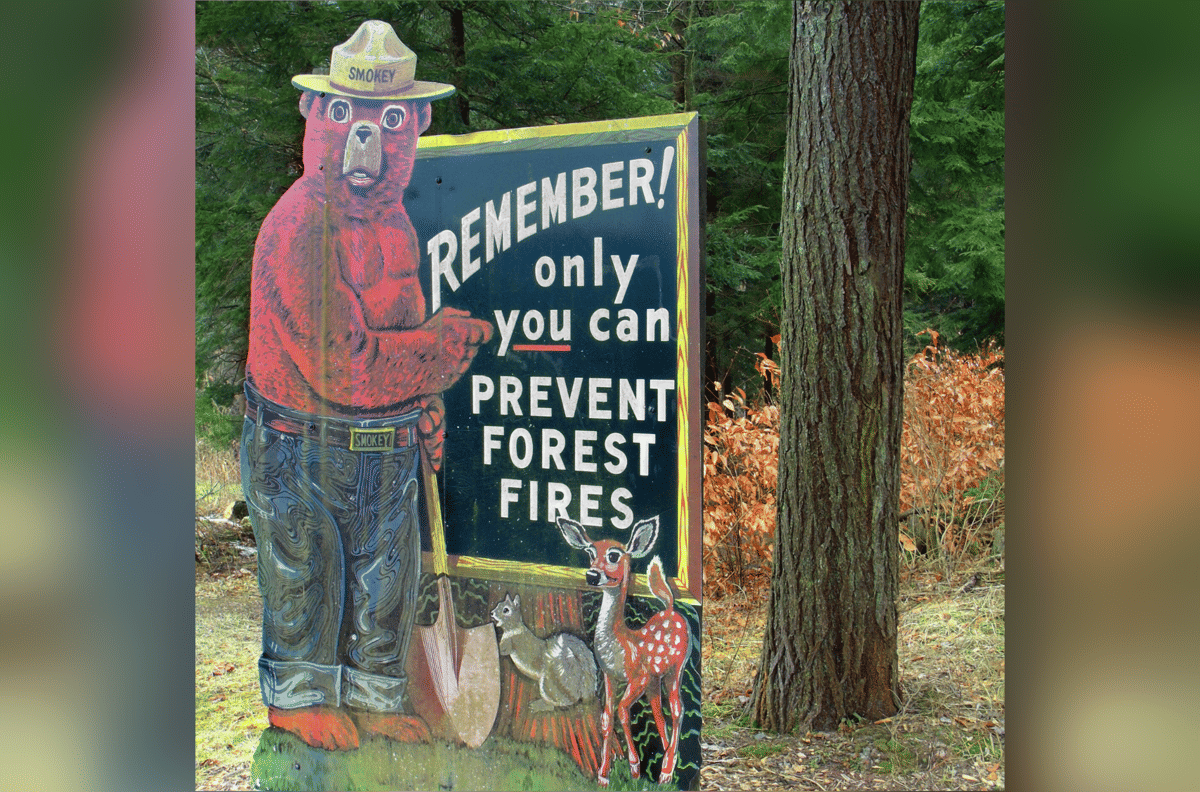 maskot Smokey Bear