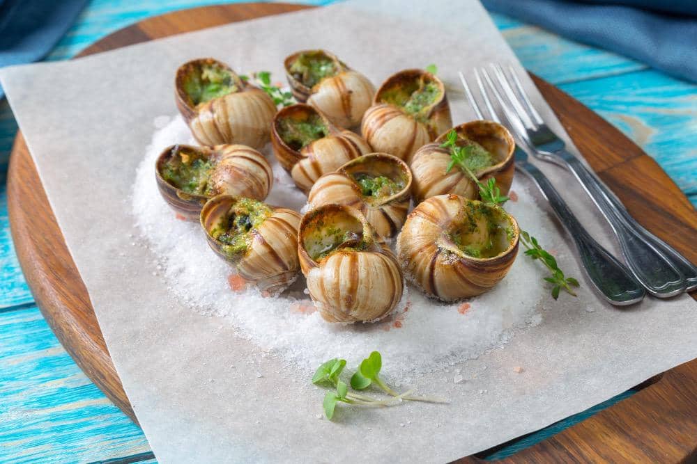 ilustrasi escargot