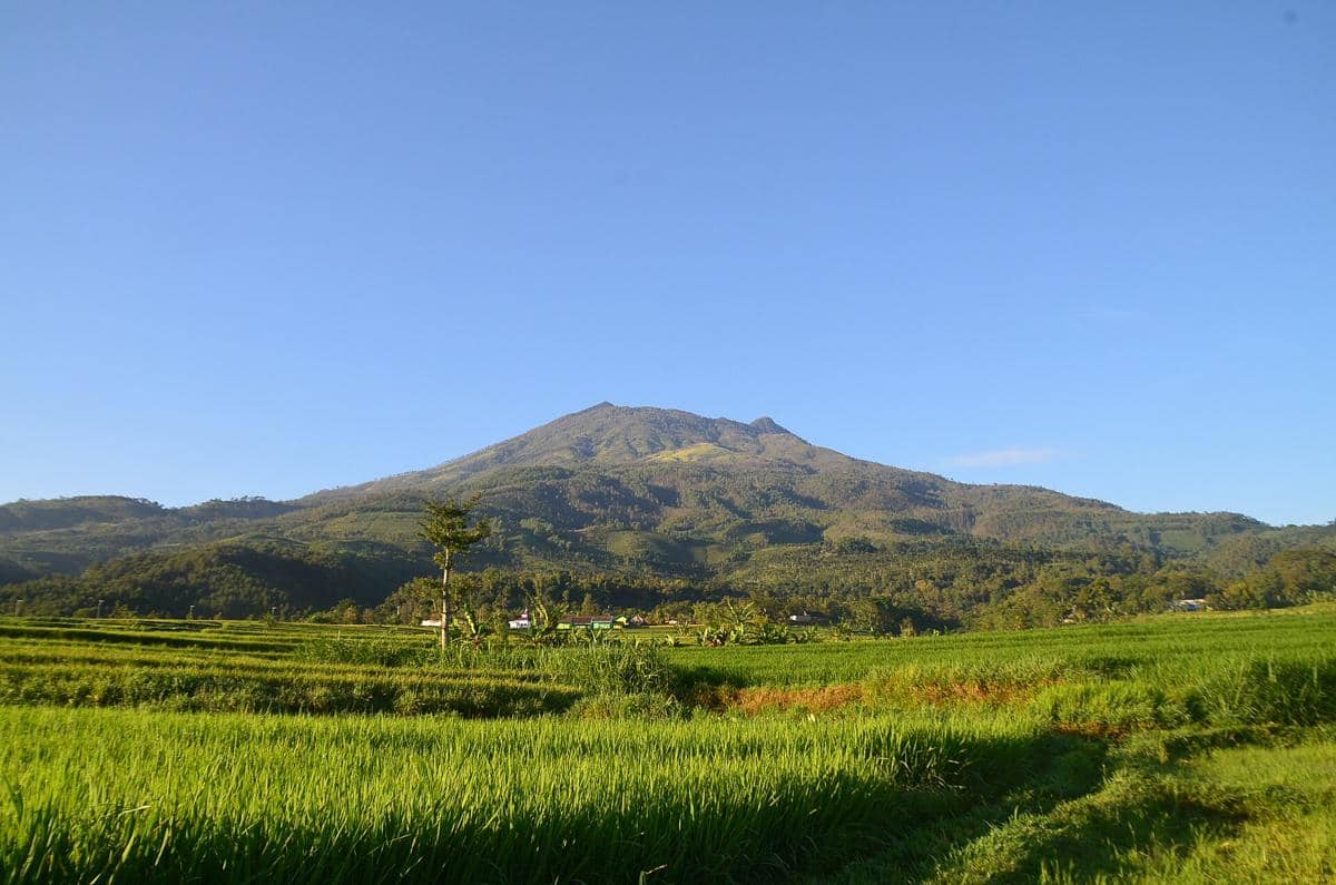 Potret Gunung Lawu