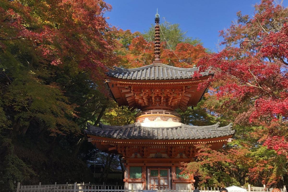 5 Kuil di Osaka untuk Menikmati Musim Gugur, Syahdu!