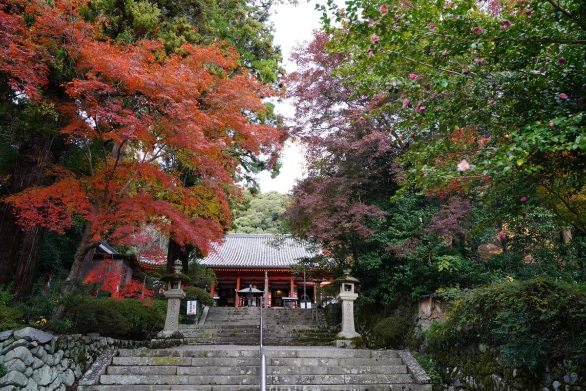 Kuil Kanshinji, Osaka