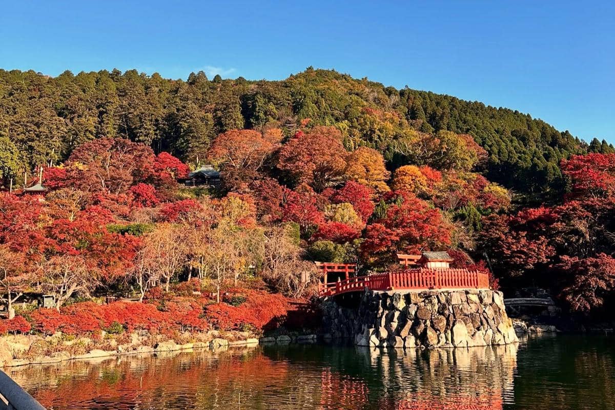 Kuil Katsuoji, Osaka
