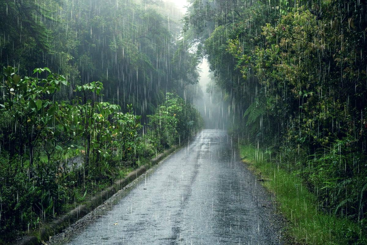 Cuaca Hujan