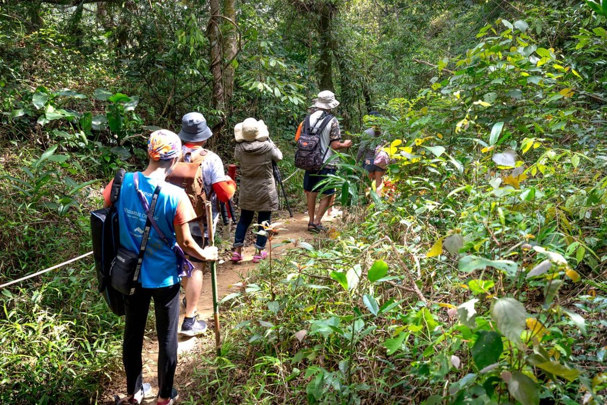 Potret mendaki gunung